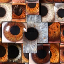 post_siggraph_iris