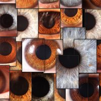 posts_iris