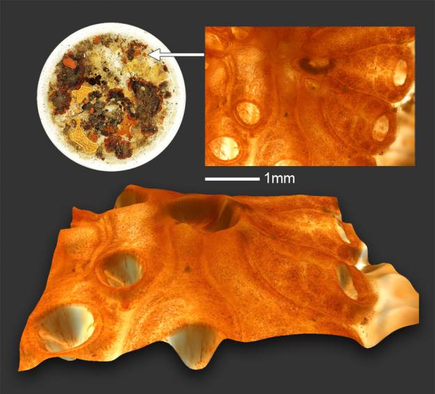 Settling Plate Full & Detail