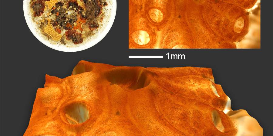 exploratorium_3d Settling Plate Full & Detail