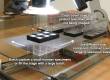 Specimen Templating