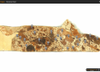 Stonerose Fossil