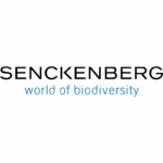 Senckenberg-Logo-FGD