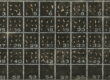Gigapixel image of a microfossil slide captured with a Nikon 5X telecentric lens for blog post Specimen Determines the Lens