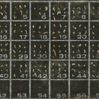 Gigapixel image of a microfossil slide captured with a Nikon 5X telecentric lens for blog post Specimen Determines the Lens