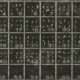Gigapixel image of a microfossil slide captured with a Nikon 5X telecentric lens for blog post Specimen Determines the Lens
